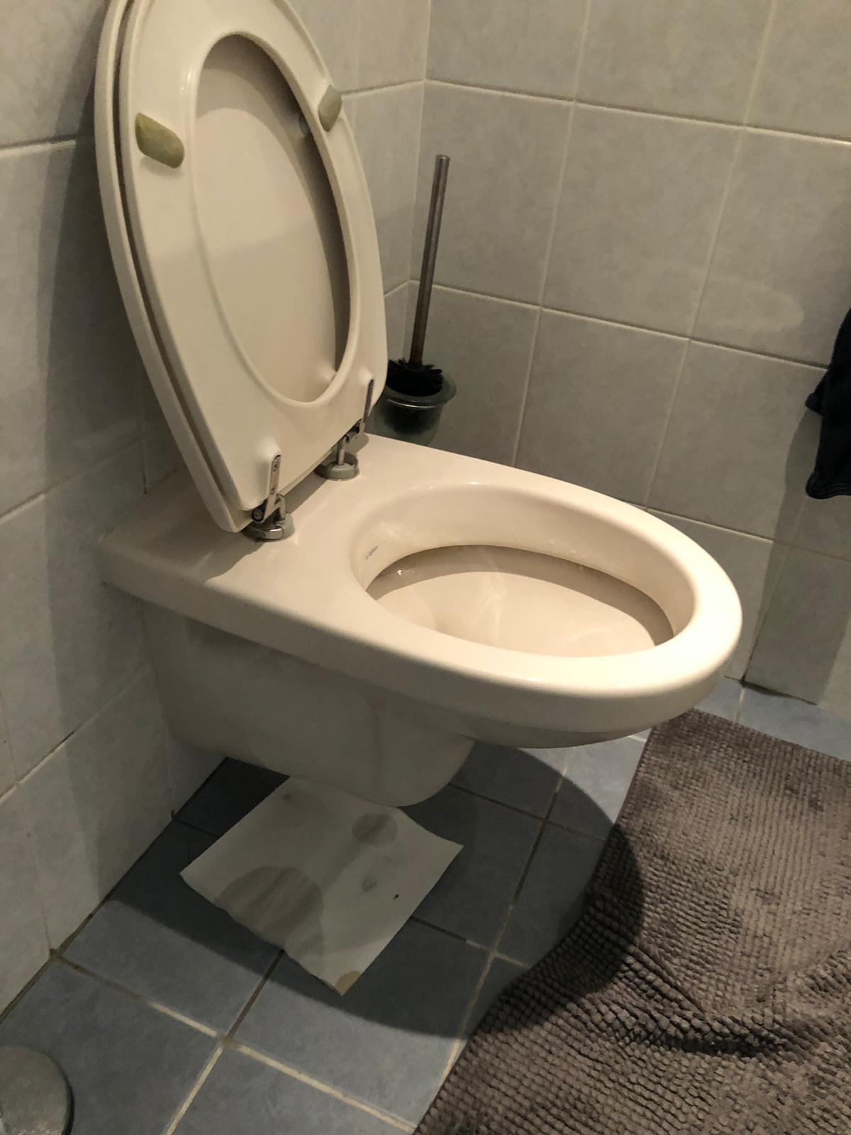 hangtoilet Assendelft